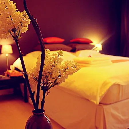 Bed & Breakfast Maison Indochine